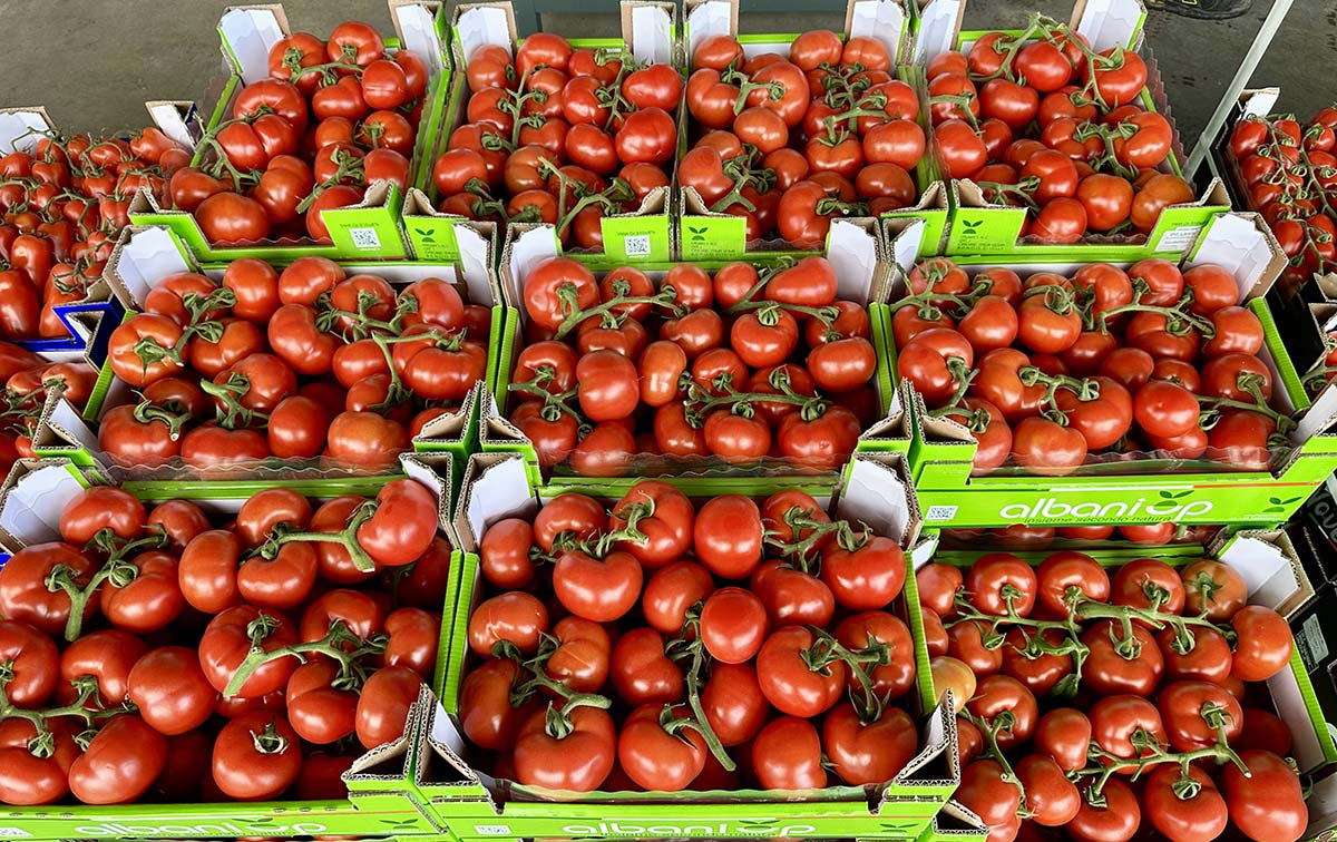 Pomodoro grappolo, origine Sicilia, 2 euro al chilo